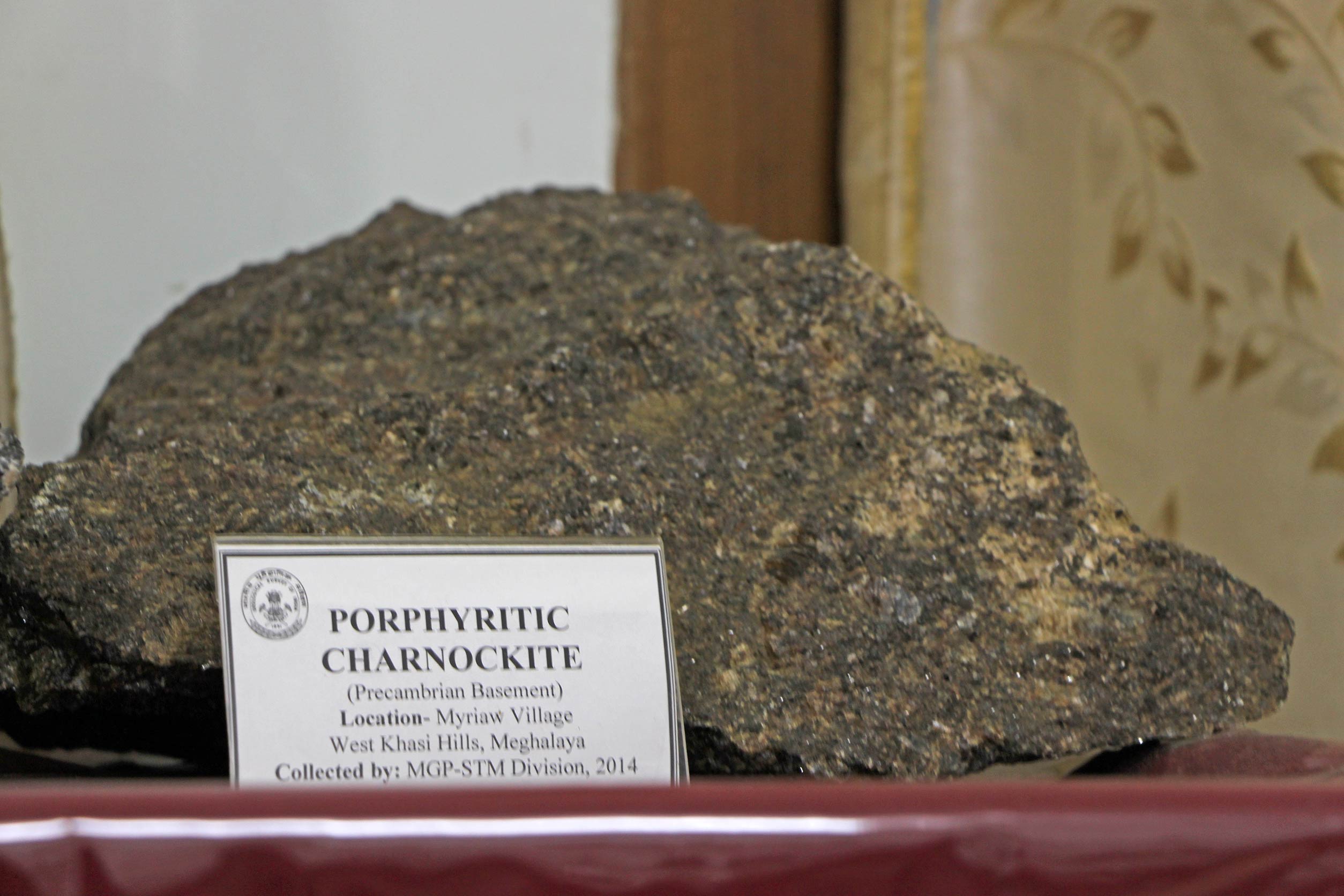 Porphyritic Charnockite found in the West Khasi Hills Porphyritic Charnockite found in the West Khasi Hills