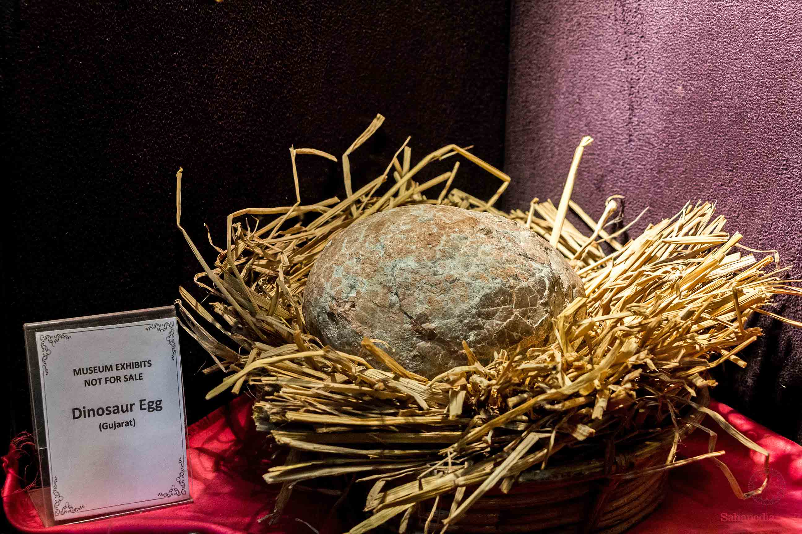 Dinosaur Egg (Gujrat) Dinosaur Egg (Gujrat)