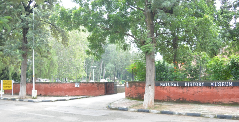 Natural History Museum, Chandigarh Entrance to the Natural History Museum